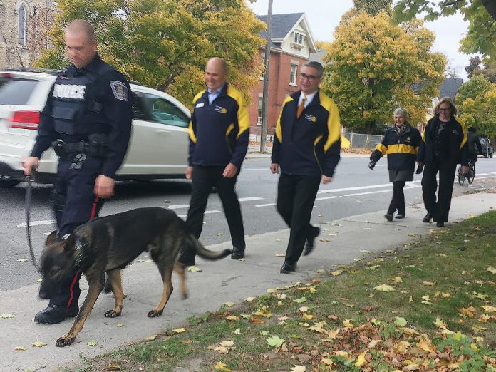 Peterborough Police Constable Bob Cowie and police dog Isaac get some exercise on Water Street, followed by members of the Rotary Club of Peterborough Kawartha including Donna Geary (far right). The Rotary Club's 2018 Christmas Auction  funded the department’s acquisition and training of its newest canine member. (Photo: Paul Rellinger / kawarthaNOW.com)