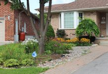 The GreenUP Water Wise program recognizes residents that have adopted Water Wise landscaping practices, such as reducing the amount of lawn in their yard, planting drought-tolerant native species, and using a rain barrel, all of which help to reduce reliance on municipal water. (Photo: GreenUP)