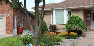 The GreenUP Water Wise program recognizes residents that have adopted Water Wise landscaping practices, such as reducing the amount of lawn in their yard, planting drought-tolerant native species, and using a rain barrel, all of which help to reduce reliance on municipal water. (Photo: GreenUP)
