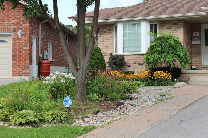 The GreenUP Water Wise program recognizes residents that have adopted Water Wise landscaping practices, such as reducing the amount of lawn in their yard, planting drought-tolerant native species, and using a rain barrel, all of which help to reduce reliance on municipal water. (Photo: GreenUP)