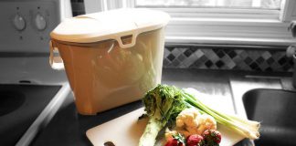 This year, don't let your green food scraps go to waste. Register for the Kitchen to Compost program and City of Peterborough staff will deliver and install a composter in your backyard. New this year, the program includes a countertop food scrap container for holding your veggie scraps until you take them out to your backyard unit. (Photo: Karen Halley)