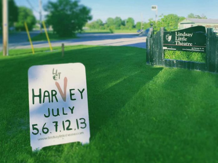 "Harvey" runs for six performances from July 5 to 13, 2019 at Lindsay Little Theatre in Lindsay.  (Photo courtesy of Lindsay Little Theatre)