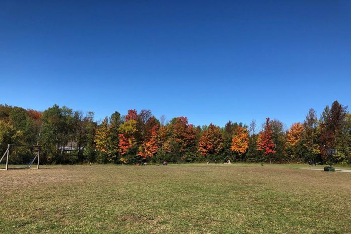 Maria Montessori, founder of the Montessori Method, believed that nature plays a critical role in the education of children. Kawartha Montessori School sits on 10-acres of beautiful natural space, including a wetland, and is surrounded by trees and adjacent to the 100-acres of Mark S. Burnham Provincial Park, just a few steps away.  Outside each classroom, there's an outdoor learning environment which is part of the work cycle. Students can move freely between the outdoor space and indoor space. (Supplied photo)