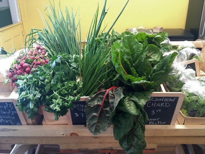 The Food Shop stocks an assortment of seasonal produce from local farms. (Photo: Eva Fisher / kawarthaNOW.com)