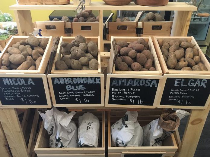 Choose from a selection of local potatoes with varieties that aren't available in regular grocery stores. (Photo: Eva Fisher / kawarthaNOW.com)