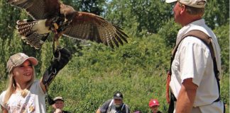 "Birds of Prey", a two-hour demonstration by master falconer Matt Lieberknecht, takes place at Gamiing Nature Centre on Pigeon Lake on August 10, 2019. Lieberknecht will bring various owls, falcons, kestrels, and other raptors for an interactive show for the whole family, engaging both young and old with his fascinating stories about each bird. (Supplied photo)