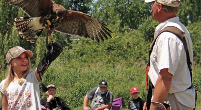 "Birds of Prey", a two-hour demonstration by master falconer Matt Lieberknecht, takes place at Gamiing Nature Centre on Pigeon Lake on August 10, 2019. Lieberknecht will bring various owls, falcons, kestrels, and other raptors for an interactive show for the whole family, engaging both young and old with his fascinating stories about each bird. (Supplied photo)