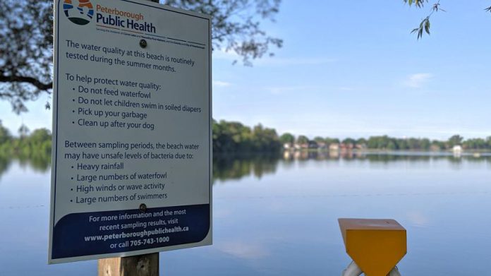 During the summer, local health units sample water at area beaches and test for bacteria such as E. coli to determine if the water quality at a beach is safe for public use. Popular beaches, like the beach at Roger's Cove in Peterborough's East City, are tested every business day while most other beaches are tested weekly. (Photo: Bruce Head / kawarthaNOW.com)