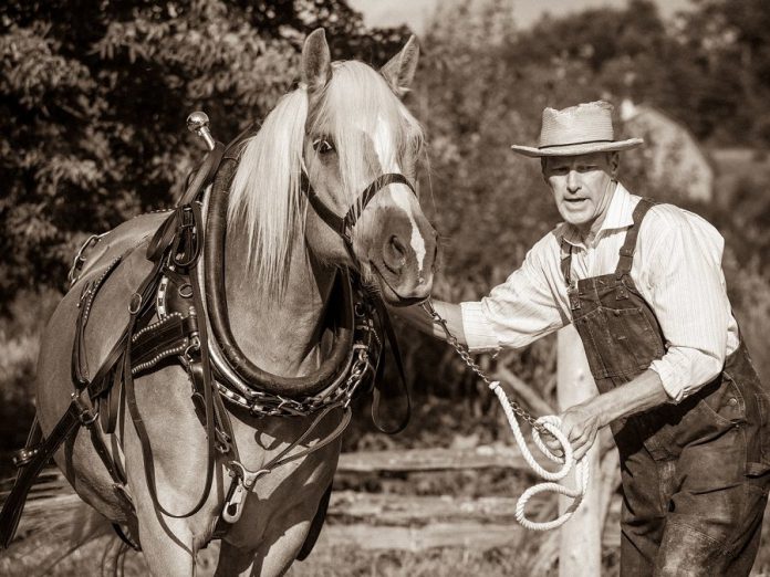 Kevin Bundy as Walter White with one of the three equine actors in Robert Winslow and Ian McLachlan's "Carmel" at 4th Line Theatre. (Photo: Wayne Eardley / Brookside Studio)