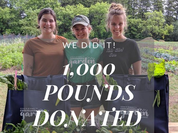 Student volunteers  Mallory, Nicole, and Jenn celebrate the achievement of growing and harvesting 1,046 pounds of fresh vegetables Edwin Binney's Community Garden. (Photo courtesy of United Way for the City of Kawartha Lakes)