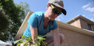 Peterborough GreenUP's Sustainable Urban Neighbourhoods (SUN) program planted more than 2,400 native species of plants in 2018 and 2019. Many of these species have a low-water need and help to alleviate stress on Peterborough's water system during the peak seasons. (Photo: GreenUP)