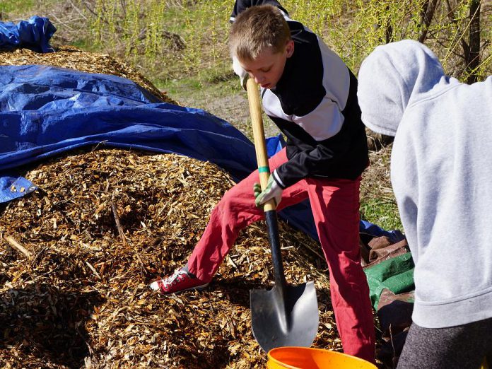 Planting trees around your property is a manageable way to sustainably and strategically landscape. As they mature, the trees shade your home and help to keep it cooler during the summer months, reducing the use of air conditioning and mitigating climate change through lower emissions. (Photo: GreenUP)