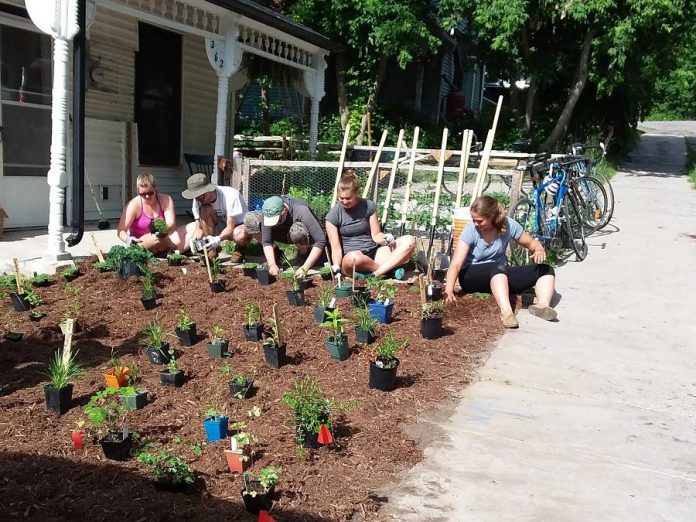 GreenUP's Sustainable Urban Neighbourhood (SUN) program relies on volunteers who help accomplish the program's ambitious sustainable landscaping goals. You can learn about, and participate in,  sustainable landscaping at several events during September. (Photo: GreenUP)