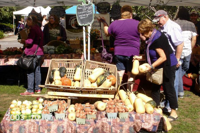 Local Food Month will culminate in the Purple Onion Festival, an annual celebration of local food held at Millenium Park in Peterborough. (Photo: Transition Town Peterborough)