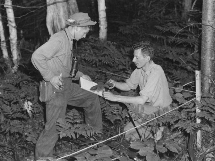 A 17-year-old Robert Bateman with ornithologist and naturalist Bill Gunn at the Algonquin Park Wildlife Research Station in 1946. Gunn, who would become director of the station in the early 1950s, passed away in 1984. (Photo: Algonquin Park Museum Collection)