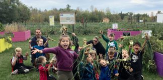 These Grade 2 students harvested 122 pounds of onions at Edwin Binney's Community Garden in Lindsay on September 27, 2019, pushing the total weight of produce harvested in the garden's first year of operation to more than two tons. The fresh produce was donated to local social service agencies, food banks, shelters, and children's programming agencies. (Photo courtesy of United Way City of Kawartha