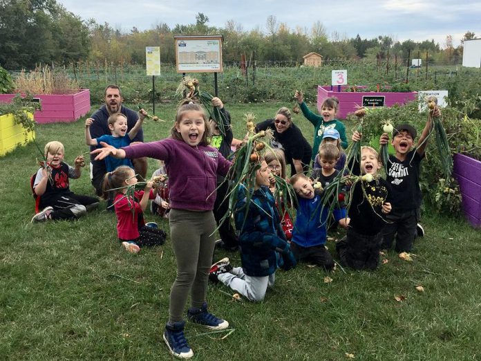 These Grade 2 students harvested 122 pounds of onions at Edwin Binney's Community Garden in Lindsay on September 27, 2019, pushing the total weight of produce harvested in the garden's first year of operation to more than two tons. The fresh produce was donated to local social service agencies, food banks, shelters, and children's programming agencies. (Photo courtesy of United Way City of Kawartha