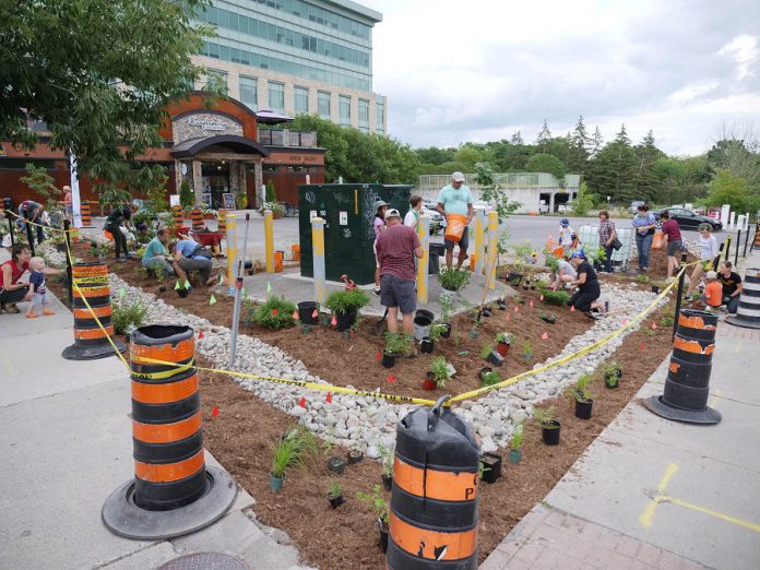 Depave Paradise volunteers plan the placement of plants in the new garden outside Euphoria Wellness Spa in downtown Peterborough. (Photo courtesy of GreenUP)