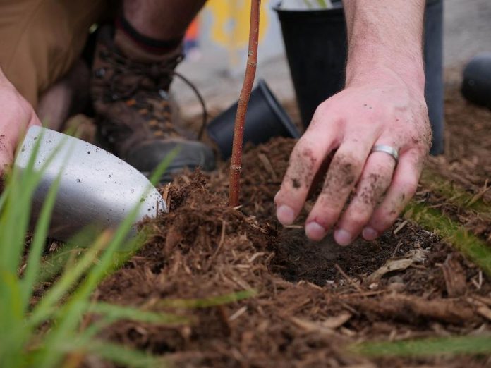 As well as guided nature walks, the October 5th BioBlitz at Kawartha Heights Park in Peterborough also includes tree planting and a live performance by Washboard Hank. (Photo courtesy of GreenUP)