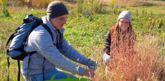 If you want to connect with nature and help protect natural spaces, Kawartha Land Trust is looking for volunteers for several land stewardship activities this fall, including an October 5th event on the McKim-Garsonnin Property in Pontypool where volunteers will help staff pick the seeds of an endangered ecosystem to help in the future replanting of the grasses and wildflowers of our native prairies. (Photo courtesy of Kawartha Land Trust)
