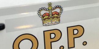 OPP logo on police car door