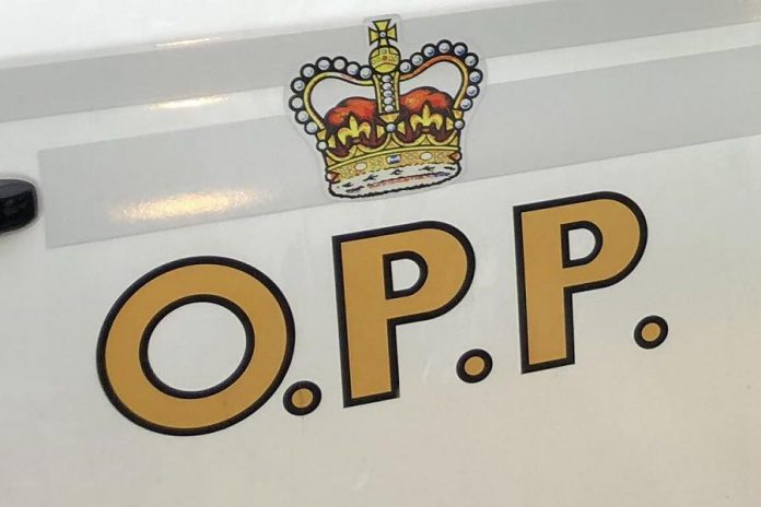 OPP logo on police car door