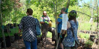 GreenUP's Ecology Park manager and resident tree expert Vern Bastable helps customers choose the right tree. The annual autumn tree sale takes place at Ecology Park from 10 a.m. to 4 p.m. on Saturday, October 5th. (Photo: Karen Halley)
