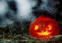 Halloween pumpkin in the rain