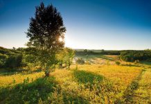 Land conservation organization Kawartha Land Trust, which is already protecting two properties in the Fleetwood Creek watershed including the Ballyduff Trails (McKim-Garsonnin property) pictured above, wants to partner with private landowners to further protect the area's biodiversity and water quality. (Photo courtesy of Kawartha Land Trust)