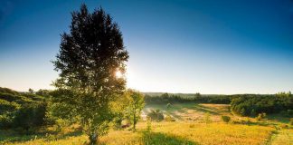 Land conservation organization Kawartha Land Trust, which is already protecting two properties in the Fleetwood Creek watershed including the Ballyduff Trails (McKim-Garsonnin property) pictured above, wants to partner with private landowners to further protect the area's biodiversity and water quality. (Photo courtesy of Kawartha Land Trust)