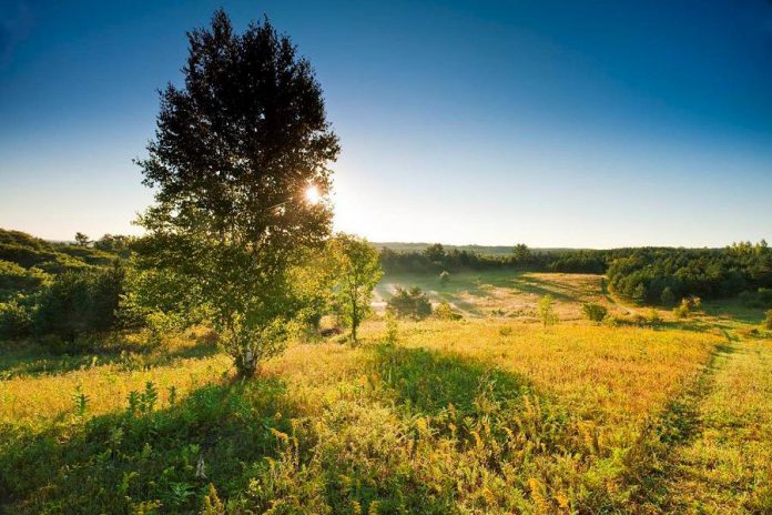 Land conservation organization Kawartha Land Trust, which is already protecting two properties in the Fleetwood Creek watershed including the Ballyduff Trails (McKim-Garsonnin property) pictured above, wants to partner with private landowners to further protect the area's biodiversity and water quality. (Photo courtesy of Kawartha Land Trust)