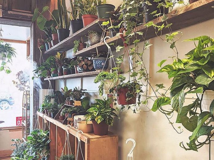 Plant Goals is a new garden shop owned and operated by Désirée Fawn in downtown Peterborough. (Photo: Plant Goals / Facebook)