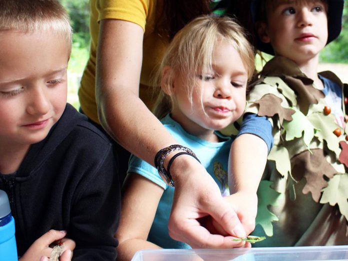 Every year, GreenUP educators introduce over 1,000 children to the wonders of nature in Ecology Park, a five-acre urban sanctuary in the heart of Peterborough. In this photo, children learn about the development of monarch butterflies. Instilling both passion and appreciation for nature in our children is fundamental to encouraging future behaviours that protect the environment and reduce our impact on our local environment. (Photo courtesy of GreenUP)