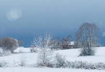 The most-liked photo on our Instagram in November 2019 was this winter landscape of a farm in Omemee by Keeley Ward. (Photo: Keeley Ward / @keeleywardrealtor)