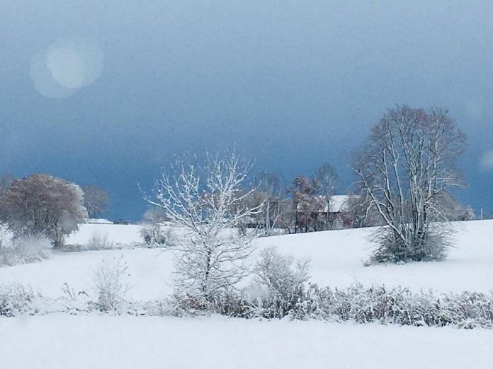 The most-liked photo on our Instagram in November 2019 was this winter landscape of a farm in Omemee by Keeley Ward. (Photo: Keeley Ward / @keeleywardrealtor)