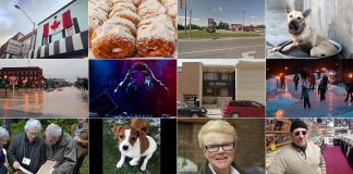 A collage of photos from 16 of our 19 most-read and most-shared stories of 2019.