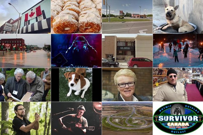 A collage of photos from 16 of our 19 most-read and most-shared stories of 2019.
