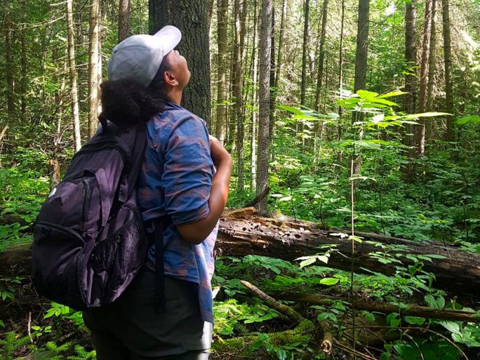 Patricia Wilson, community conservation and stewardship technician with Kawartha Land Trust, explores the newly protected Fell Wetland property. Donated to Kawartha Land Trust by Allan Fell and his family in 2019, the 50-acre property is relatively untouched by human activity and is home to a forested wetland and cattail marsh. (Photo courtesy of Kawartha Land Trust)