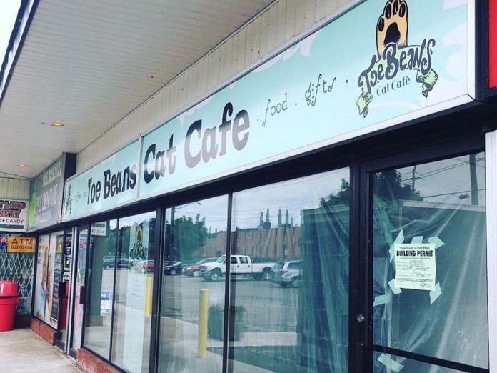 Owners Alise-Ann Glover and Spencer Roffey are selling the Toe Beans Cat Café in Port Hope. (Photo: Toe Beans Cat Café / Facebook)