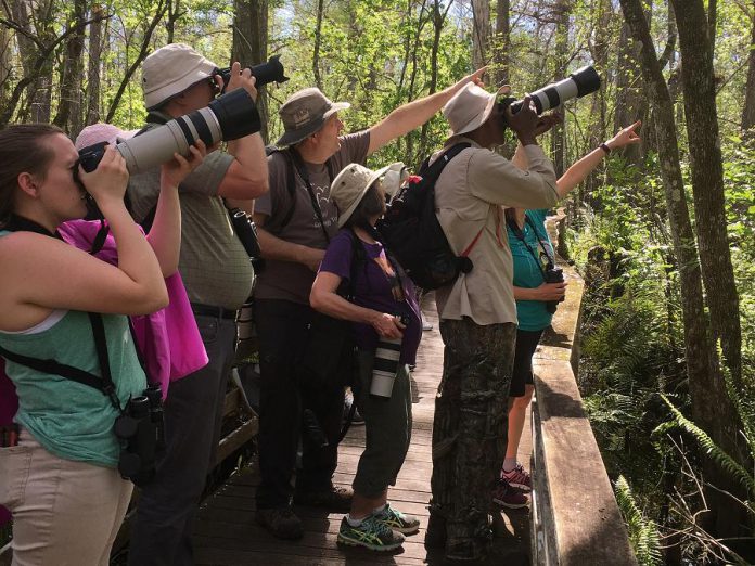 Bird watchers in Florida during the 2019 Great Backyard Bird Count. Bird watchers from more than 100 countries submitted more than 210,000 bird checklists, reporting a record 6,850 species.  (Photo: Ruben Marchena / GBCC)