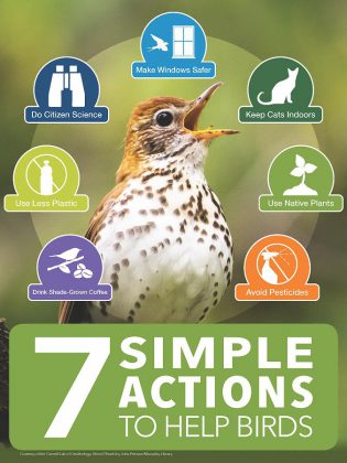 Seven simple actions to help birds. (Infographic: Cornell Lab of Ornithology)