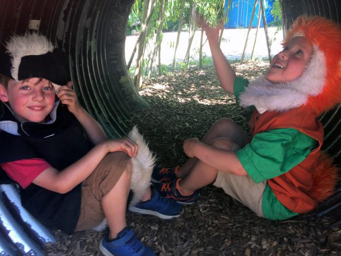 Summer camp provides an immersive and welcoming environment for children. Sharing experiences and discoveries are key ways that summer camps help develop social skills and soft skills, like these two new friends in the Children's Garden at GreenUP Ecology Park. (Photo courtesy of GreenUP Ecology Park)