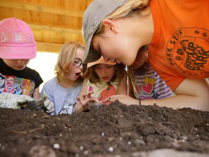 Camp counsellors are key role models and facilitators in the developmental benefits of a summer camp experience. Counsellors model enthusiasm for learning and empathy for others and in turn inspire campers to develop these same traits. (Photo courtesy of GreenUP Ecology Park)