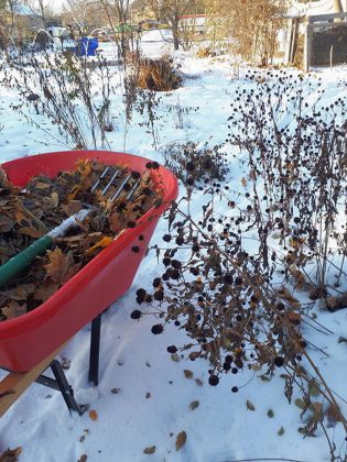 Leaving some perennials over the winter supports wildlife while also providing visual interest. This photo shows a residential garden in Peterborough with a variety of echinaceas and rudbeckia.  (Photo courtesy of GreenUP)