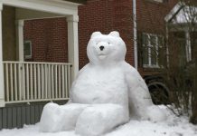 This photo taken by Allison MacGregor, of a snowbear in created by Jon Kolodziej and Dana Beren Watts outside their home in downtown Peterborough, was one of two comprising the top post on our Instagram in January 2020. (Photo: Allison MacGregor @allison.macgregor / Instagram)