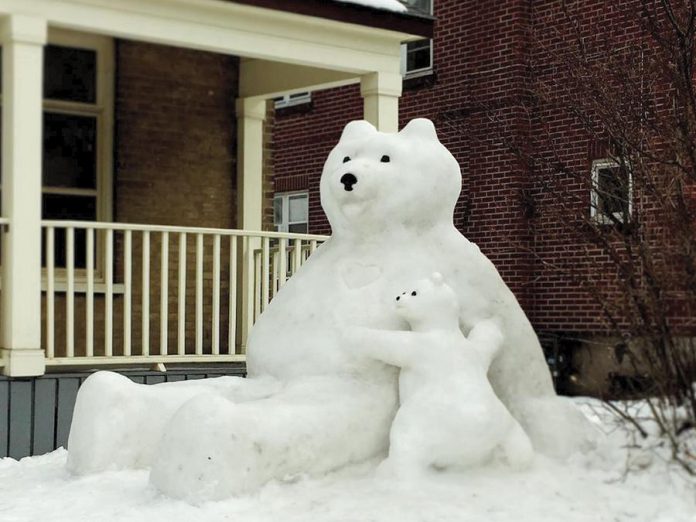 The new snowbear cub hugging the original Snowlar Bear created in January by Jon Kolodziej and Dana Beren Watts outside of their home on George Street in downtown Peterborough. (Photo: Allison MacGregor @allison.macgregor / Instagram)