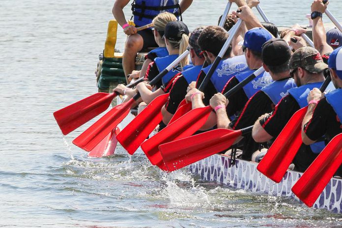 For the first time in its 20-year history, Peterborough's Dragon Boat Festival has been cancelled. Uncertainty and concerns about the COVID-19 pandemic led to the cancellation of the 20th anniversary event, which has raised more than $3.6 million over the past 19 years for breast cancer screening, diagnosis, and treatment at Peterborough Regional Health Centre. The event was scheduled for June 13, 2020 at Del Crary Park in downtown Peterborough. (Photo: Linda McIlwain / kawarthaNOW.com)