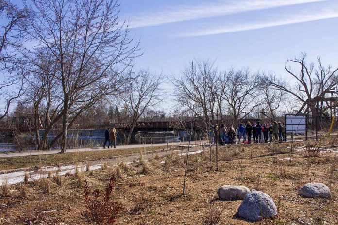 Students of St. Anne's Catholic Elementary School gather at he Depave site at 100 Water Street in downtown Peterborough, near the outflow of Jackson Creek into the Otonabee River, to learn about how rain gardens and green spaces can help maintain the local watershed.   (Photo: GreenUP)