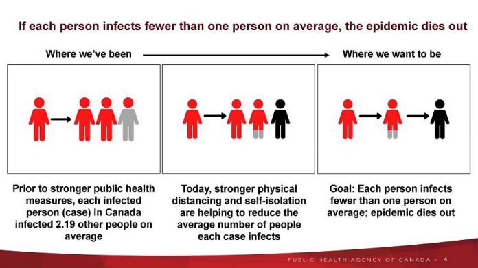 The goal of public health measures is to cause the pandemic to eventually die out in Canada. (Graphic: Public Health Agency of Canada)