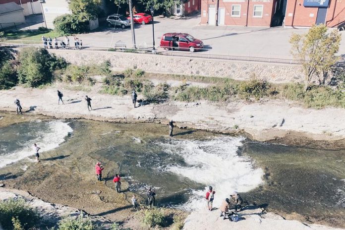 The Ganaraska River is one of Ontario's most popular fishing destinations, with a steelhead and rainbow trout run in the spring and a chinook salmon run in the late summer and early fall. (Photo: Port Hope Tourism)